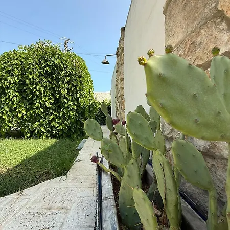 Dom wakacyjny Amati *